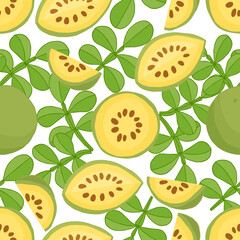 Wood apple with leaf on white background. Hand drawn seamless pattern. Stock vector illustration.