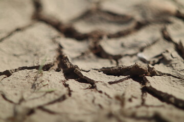Dry soil cracked by drought