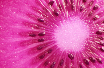 Pop Art Surreal Style Shocking Pink Colored Kiwi Fruit Cross Section's Unique Texture