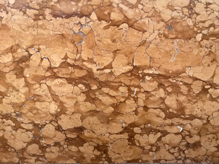very old and rare under water shell surface marble stone