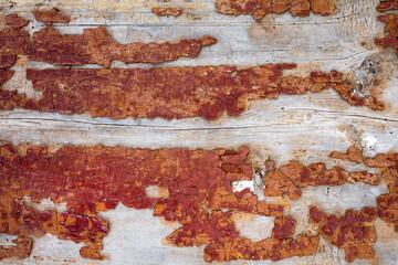 Texture, pattern, background. old paint wooden wall cracked paint, paint abstract on wood. Over time, exfoliate