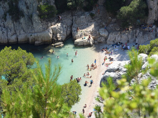 plage calanque d'en vau cassis