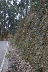 Empty road in the countryside