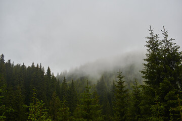 The peak of mountain covered in fog