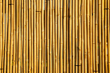 background of bamboo fence