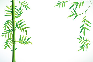 Bamboo leafs plant frame card copy space background vector image