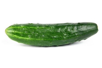 fresh green cucumber isolated on white background. horizontal studio shot.