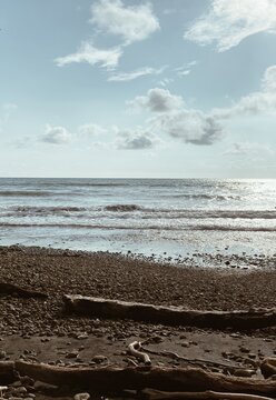 bech vibes