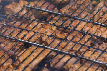 Close up barbecue on picnic outdoors 