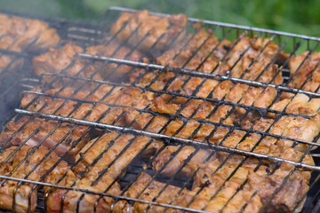Close up barbecue on picnic outdoors 