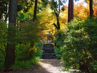 entrance gate and stone staircase temple