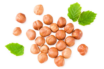 hazelnuts with green leaf isolated on white background. top view