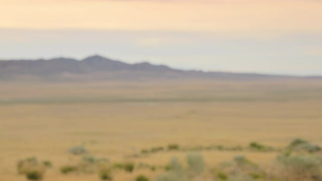 Desert 4k background plate for green screen and VFX, Medium Close Up (MCU). Seamless loop, natural blur. Match with 85mm at f/10 on a full frame sensor, focus at 5ft.