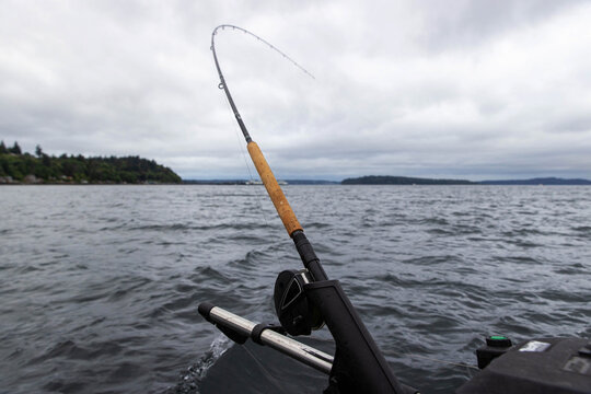 Bent fishing pole on a downrigger setup in the puget sound attempting to catch Chinook salmon or Coho