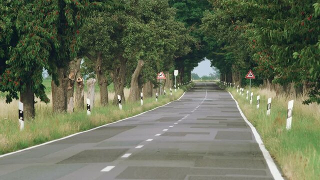 Long shot of a peaceful country road with a cherry and apple tree alley and two beware of jumping deer signs on a hot summer day with heat haze shimmer over the patched flickering asphalt.