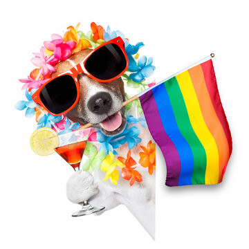 gay pride dog with rainbow gay flowers