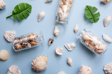 Flat lay seashells, mini bottles, tropical leaves. The concept of the sea, vacation, travel