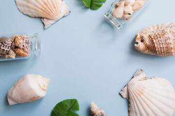 Frame of shells on a blue background. Summer, travel, vacation concept. Copy space.