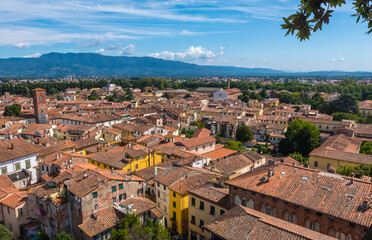 Fototapeta na wymiar Roofs of Lucca, Toscana, Italy