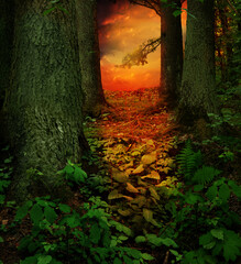 Red sunset in dark green fantasy forest