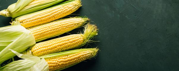Fresh corn on the cob, agriculture, harvest