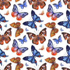 Butterflies seamless pattern on a white background, watercolor illustration. Print for fabric, background for various designs.