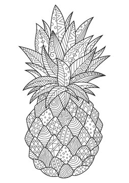 Doodle coloring book page pineapple. Antistress for adult. Zentangle black and white illustration