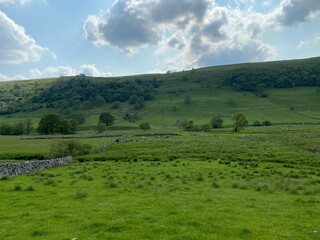 Naklejka premium Panoramic view of the hills and fields, with cattle and dry stone walls in, Buckden, Skipton, UK 