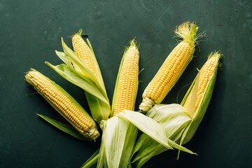 Fresh corn on the cob, agriculture, harvest