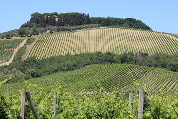 valle