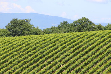 toscana
