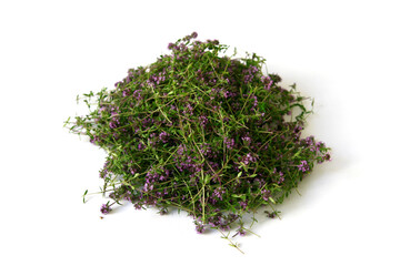 Pile of freshly picked thyme herb isolated on white background.