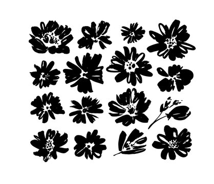 Chamomile hand drawn black paint vector set. Ink drawing flowers and plants, monochrome artistic botanical illustration.