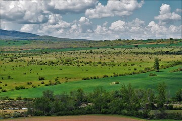 Prados verdes con vacas pastando, Estebanvela, Segovia