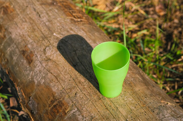 empty plastic mug standing on a tree trunk in the forest