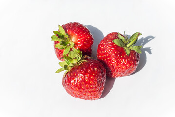 Eco or Bio Strawberry Isolated on White Background - Natural Hard Light Shot of Three Berries Composition Close up