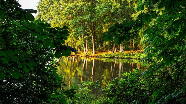 Der Ellernteich in Rastede
