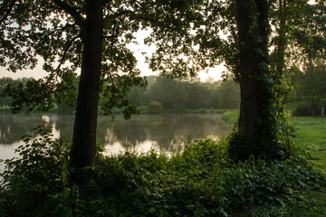 Der Ellernteich in Rastede