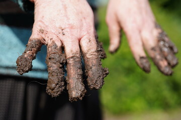 Close up of mature female hands in mud. Human hand in dirt. Concept of summer kitchen-garden care.