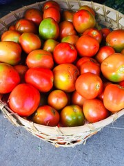 basket of tomatoes