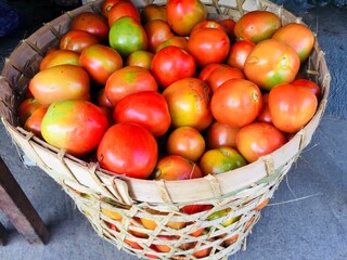 basket of tomatoes