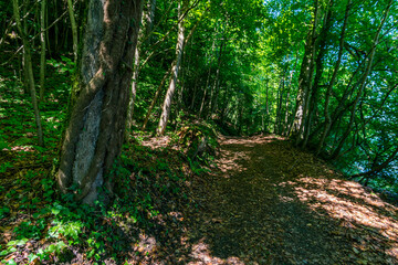 Fototapeta premium Premium hiking trail Seegang on Lake Constance