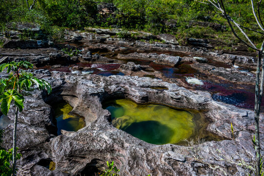 Ca&ntilde;o Cristales - one of the most beatiful rivers in the world