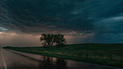 Lighting storm hides behind a grove of trees on the Great Plains