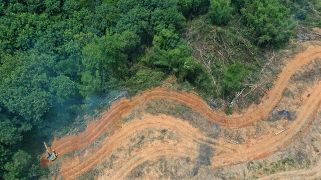 Forest cut down and burned for agricultural and in Thailand