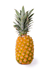 Fresh pineapple on white background 