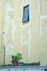Fototapeta na wymiar Manhattan, New York City: A window in a concrete wall overlooking potted plants on a shed in an urban garden.