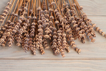 Old dried lavender flowers on gray toned wooden table. Closeup
