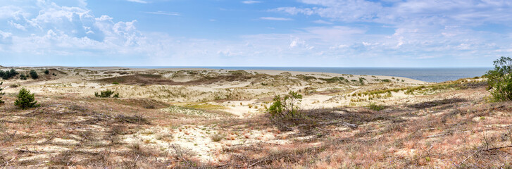 Sand dune on the Curonian spit panorama