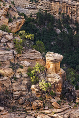 Mesa Verde Cliff 22
